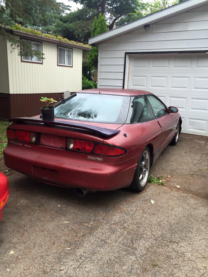 Rear passenger side of a red 1995 Ford Probe with a plant on the spoiler, parked by a garage.