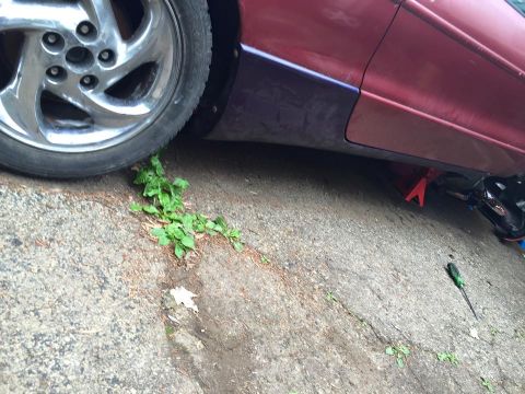 1995 Ford Probe - The lower side of a red and purple car is shown with a chrome wheel and weeds growing on the pavement. The car is supported by a red jack s…