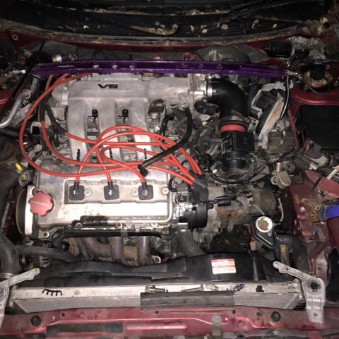 1995 Ford Probe - The engine bay of a red car is shown, featuring a V6 engine with red spark plug wires, a purple strut bar, and a black intake manifold.