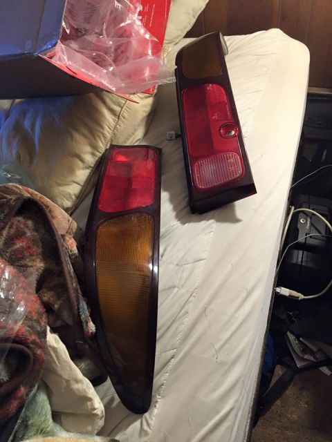 1995 Ford Probe - Two car tail lights are displayed on a bed, one on the left and one on the right.