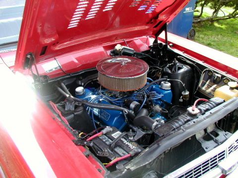 1967 Ford Ranchero - I'm one of those who just hate a dirty engine. LOL