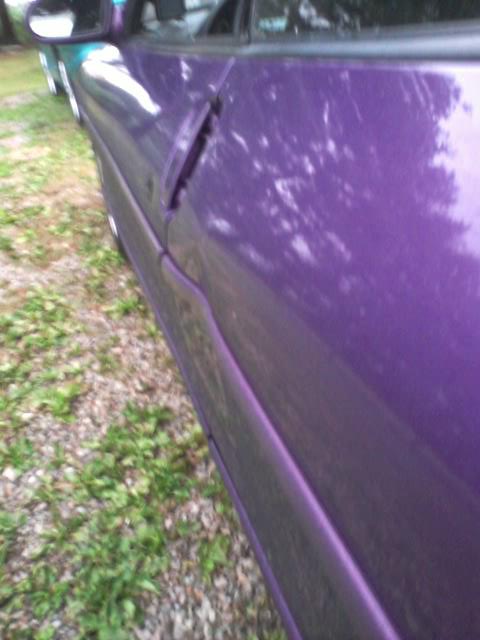 1995 Ford Probe - A close-up, side view of a purple car door with reflections of trees on its surface. The car is parked on a gravel and grass area.