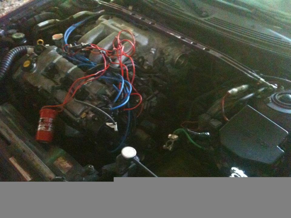 Engine bay with red and blue wires, and a red fire extinguisher