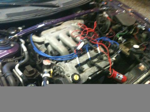 1995 Ford Probe - The engine bay of a purple 1995 Ford Probe is shown with a purple strut bar across the top. Various engine components, wiring, and hoses ar…