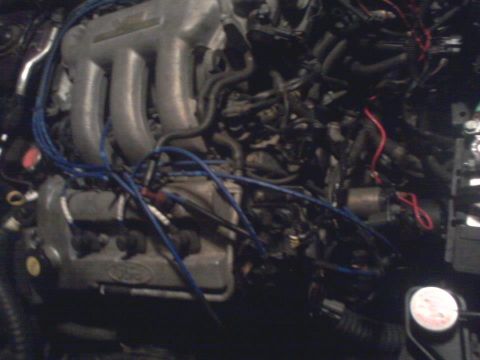1995 Ford Probe - Close-up view of a Ford engine bay, showing the intake manifold, spark plug wires, and various hoses and electrical components.