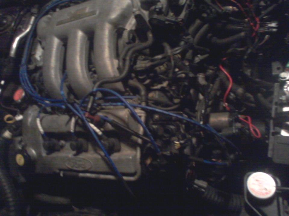 Ford engine bay with intake manifold and blue spark plug wires.