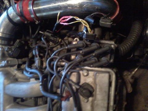 1995 Ford Probe - A close-up view of a modified engine bay, featuring a large chrome intake pipe with red clamps and various hoses and electrical connectors.