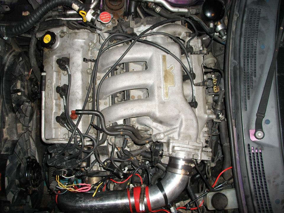 Engine bay of a 1995 Ford Probe with custom intake piping and visible spark plug wires.