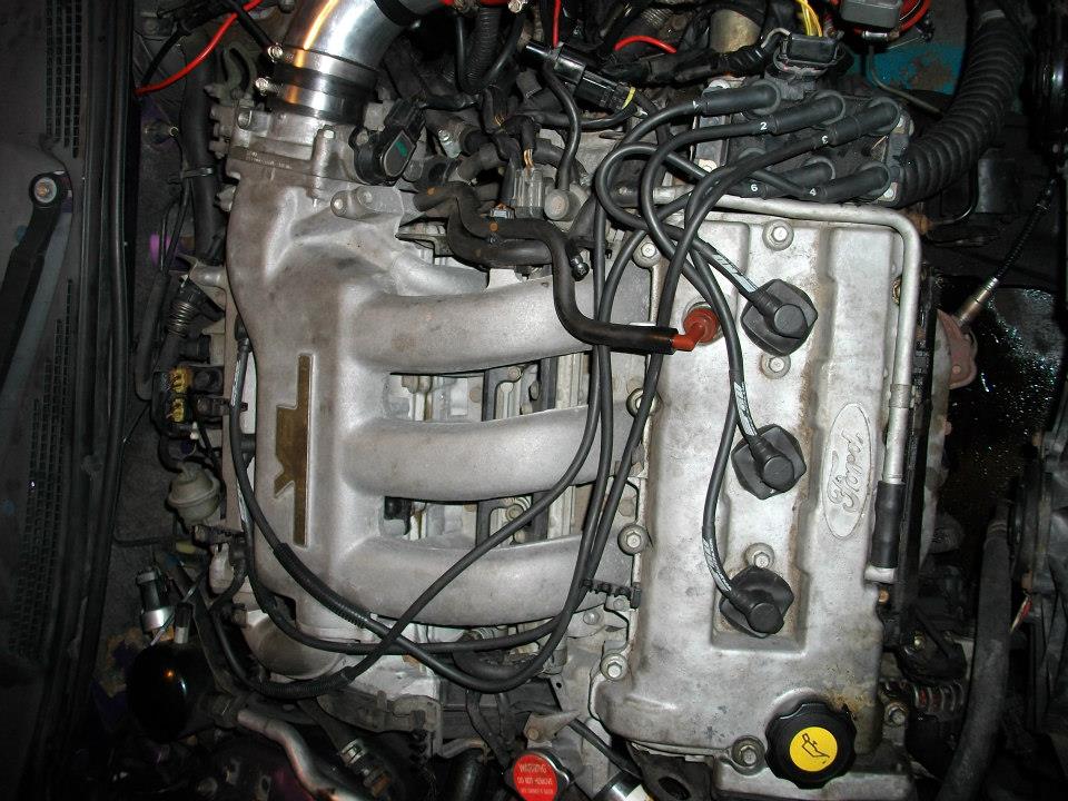 Close-up of Ford Probe engine bay, showing intake manifold, valve cover, spark plug wires, and Ford logo.