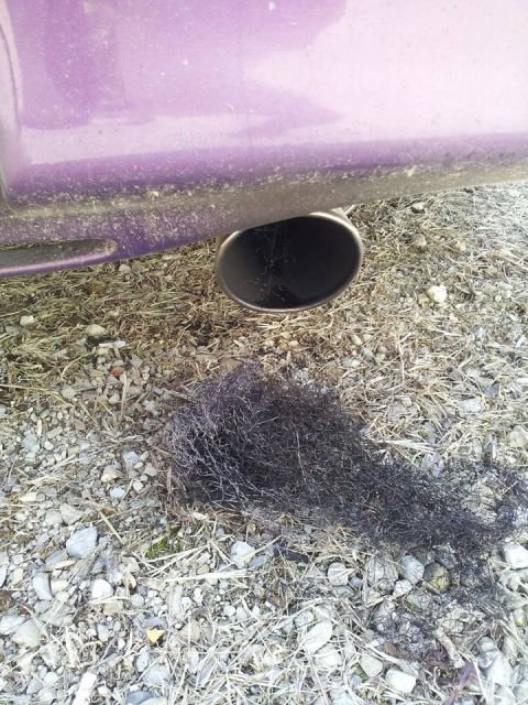 1995 Ford Probe - A close-up view shows the exhaust pipe of a purple vehicle, with a pile of dark, tangled debris on the ground beneath it.