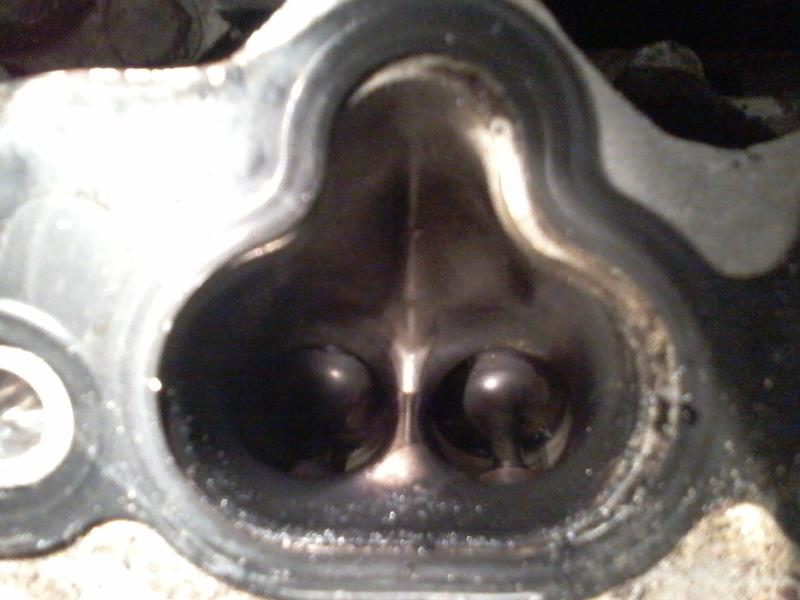 Engine cylinder head intake ports and valves