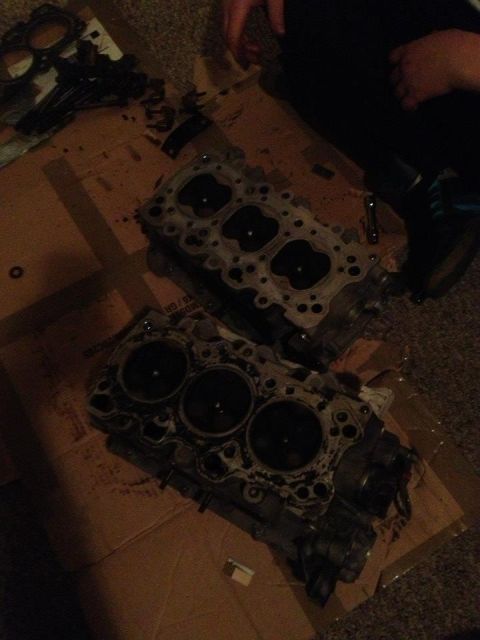 1995 Ford Probe - Two engine cylinder heads are laid out on a cardboard surface, with various engine components scattered around them. One person's hands are…