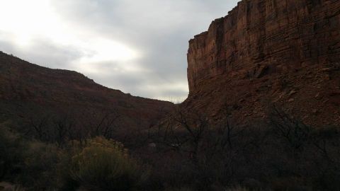 1979 Ford Bronco - A dramatic canyon scene with towering red rock cliffs under a cloudy sky. Bare trees and scrub brush fill the foreground, obscuring the can…