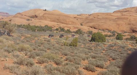 1979 Ford Bronco - A convoy of red Jeep Wranglers drives through a desert landscape with red rock formations in the background. The vehicles are traversing a…