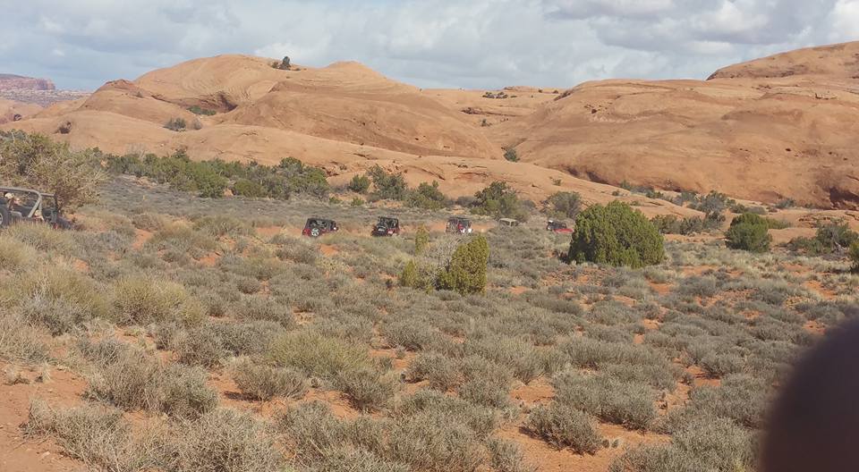 Red Jeep Wranglers driving in a desert with red rock formations.