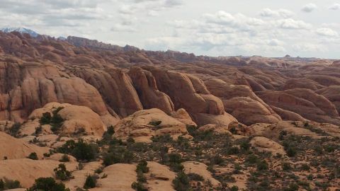 1979 Ford Bronco - A wide, scenic view of a desert landscape with rolling sandstone formations under a cloudy sky. Sparse green desert brush is scattered acro…