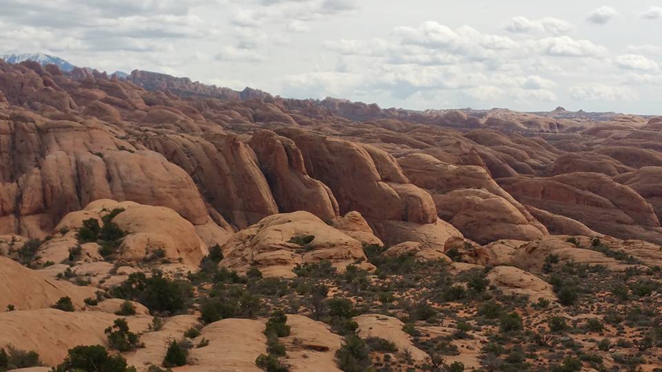 Desert landscape with sandstone formations and sparse vegetation.