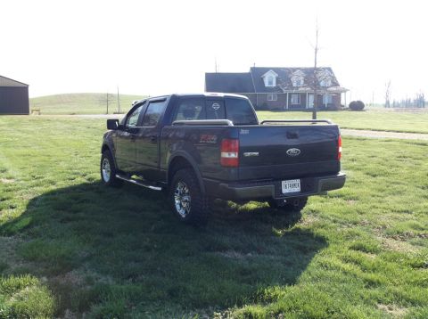 2005 Ford F-150 - Rear view of a dark blue 2005 Ford F-150 pickup truck with chrome wheels, parked in a grassy field.
