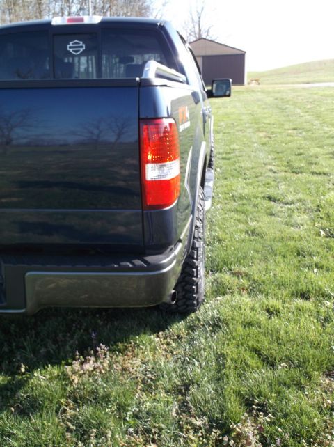 2005 Ford F-150 - The rear quarter panel and taillight of a dark blue pickup truck are visible, parked on a grassy area.