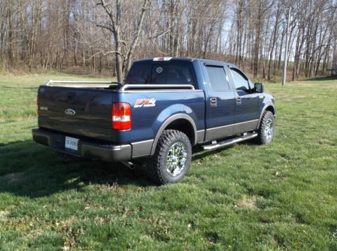 2005 Ford F-150 - This blue Ford F-150 pickup truck is shown from the rear three-quarter angle, parked in a grassy field.