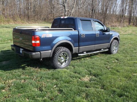 2005 Ford F-150 - This 2005 Ford F-150 pickup truck is shown in a rear 3/4 view, parked outdoors on a grassy area.