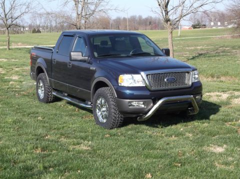 2005 Ford F-150 - This dark blue Ford F-150 pickup truck is parked on a grassy area with trees in the background.