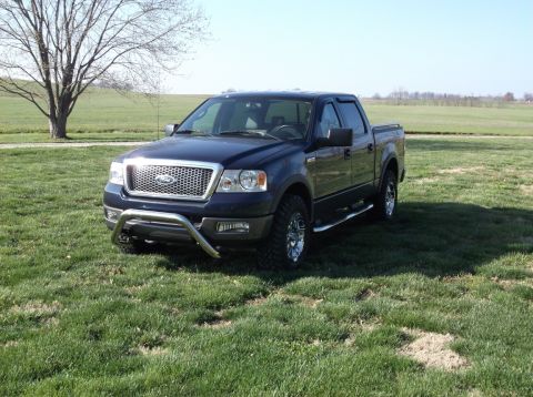 2005 Ford F-150 - 2005 Ford F-150 pickup truck with aftermarket bull bar and chrome wheels parked in a grassy field.