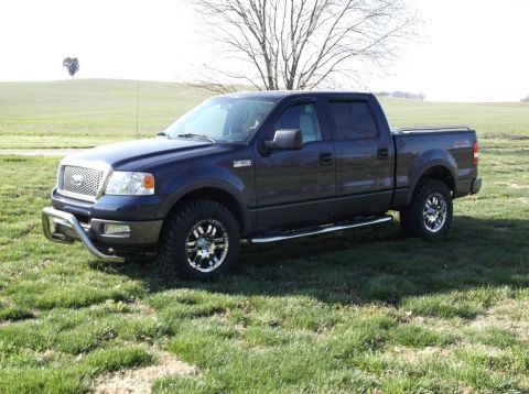 2005 Ford F-150 - A dark blue 2005 Ford F-150 pickup truck is parked on a grassy field with a tree in the background.