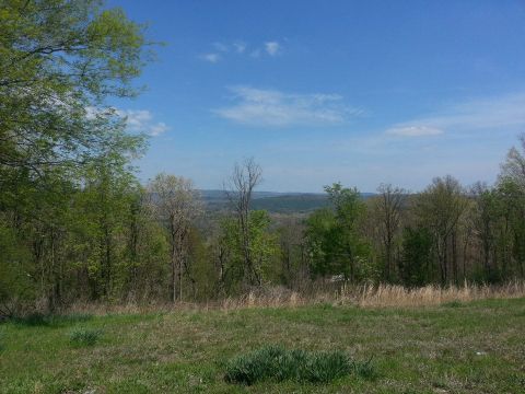 1996 Ford Bronco - A scenic view of rolling hills and trees under a bright blue sky with scattered clouds.