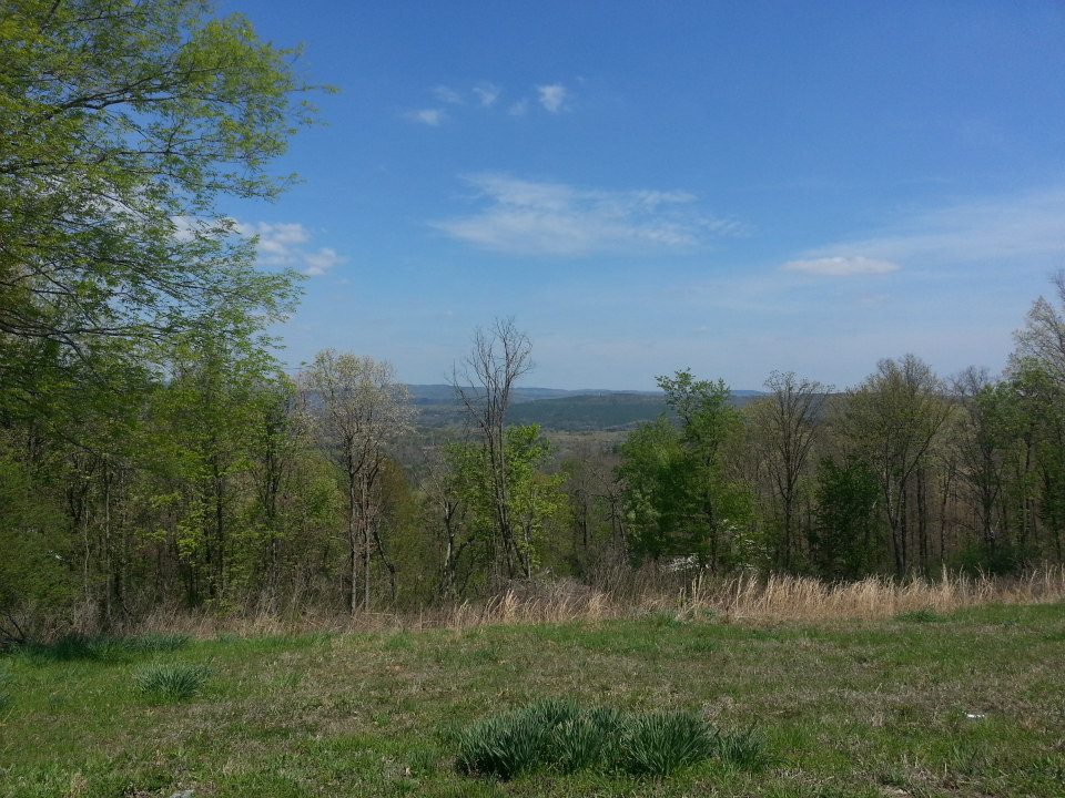 Wooded landscape with rolling hills under a blue sky