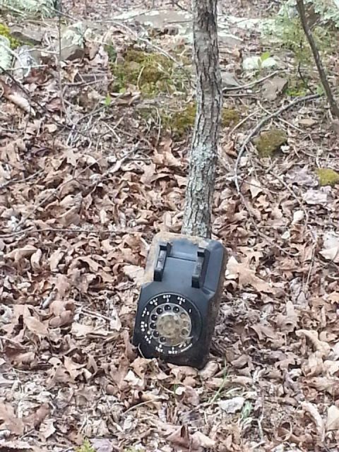 1996 Ford Bronco - A discarded rotary telephone rests on the leaf-covered ground next to a tree trunk.