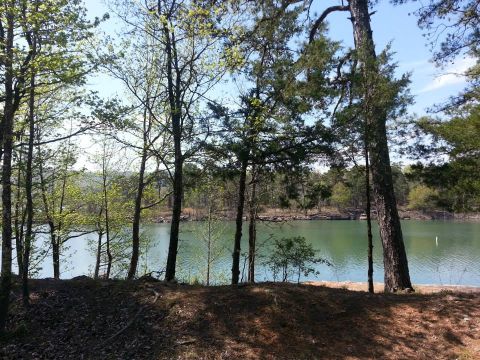 1996 Ford Bronco - A scenic view of a lake surrounded by trees, with a website logo visible in the lower right corner.