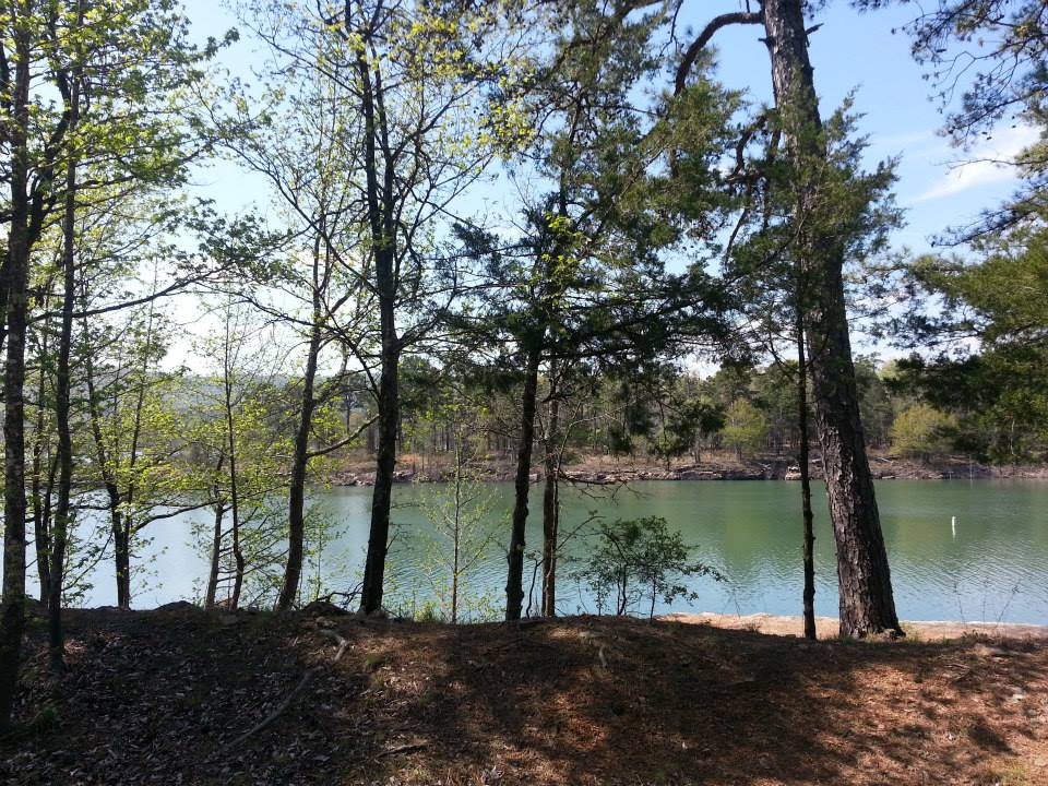 Trees and a lake on a sunny day. Supermotors.net logo in the corner