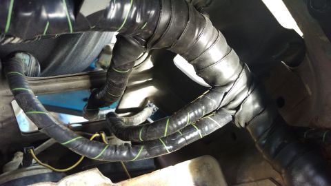 1994 Ford Bronco - Engine wiring harness with protective black tape and green tracer lines.