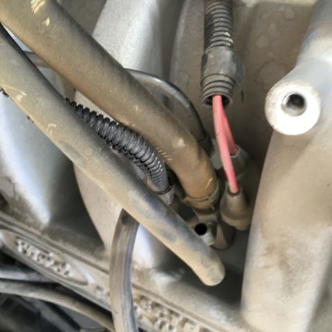 1987 Ford Bronco - Close-up view of engine components, including hoses and wiring, on a 1987 Ford Bronco.