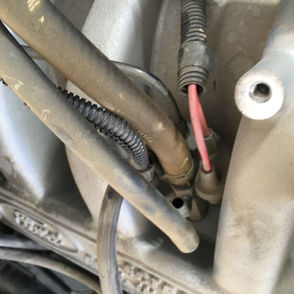 Close-up of engine hoses and red wiring on a 1987 Ford Bronco.