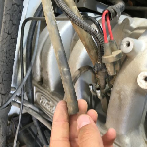 1987 Ford Bronco - A hand is holding a dirty rubber hose in front of a Ford engine. The engine appears to be from an older model vehicle, with visible fuel in…