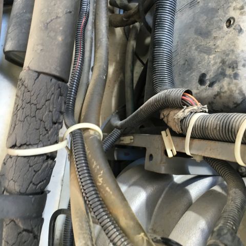 1987 Ford Bronco - A close-up view of a bundle of wires and hoses secured with zip ties within an engine bay. One of the hoses appears to be cracked and worn.