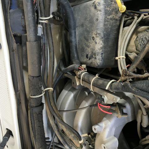 1987 Ford Bronco - A close-up view of the engine bay of a 1987 Ford Bronco, showing various hoses, wires, and engine components covered in dust and grime.
