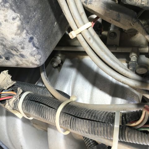 1987 Ford Bronco - A close-up view of engine wiring harnesses secured with zip ties. One harness shows significant cracking and exposed wires.