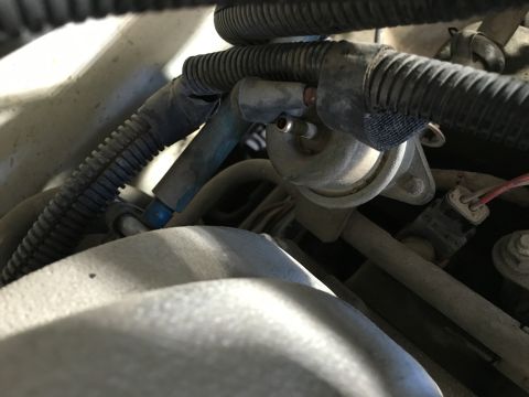 1987 Ford Bronco - A close-up view of engine components in a vehicle, including hoses, wiring harnesses, and a fuel pressure regulator. The parts are dusty an…