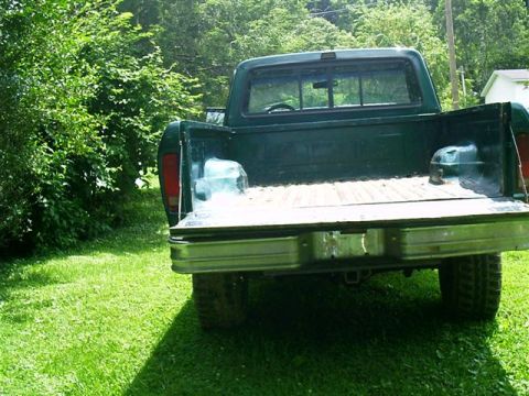 1978 Ford F-150 photo