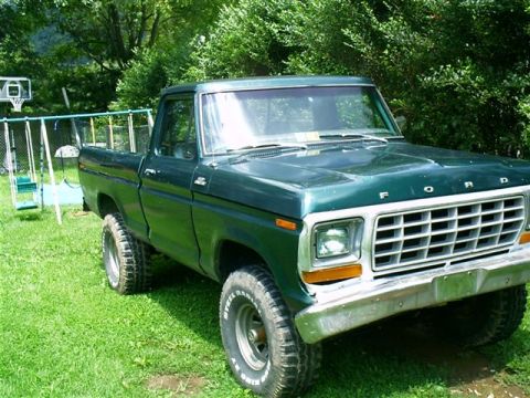 1978 Ford F-150 photo
