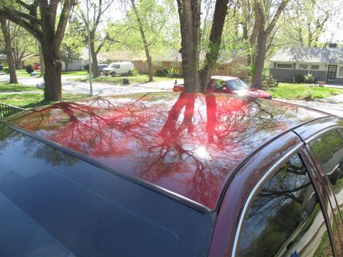 2004 Ford Crown Victoria - The glossy, dark red roof of a sedan reflects the branches and leaves of surrounding trees and the bright sun. A red pickup truck is visibl…