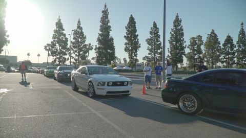 1993 Ford Taurus - A line of cars, including a white Ford Mustang, are parked in a lot under a sunny sky.