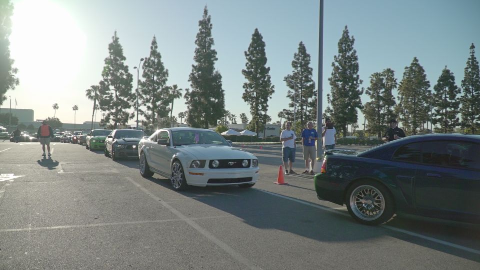 White Ford Mustang parked in a lot, front 3/4 view. Multiple cars in background