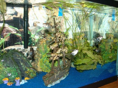 1978 Ford Bronco - A decorated aquarium with fish, plants, and a ship wreck provides an underwater scene.