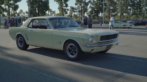 1993 Ford Taurus - A pale yellow 1965 Ford Mustang coupe is seen from the front-right at a car show, with other vehicles in the background.