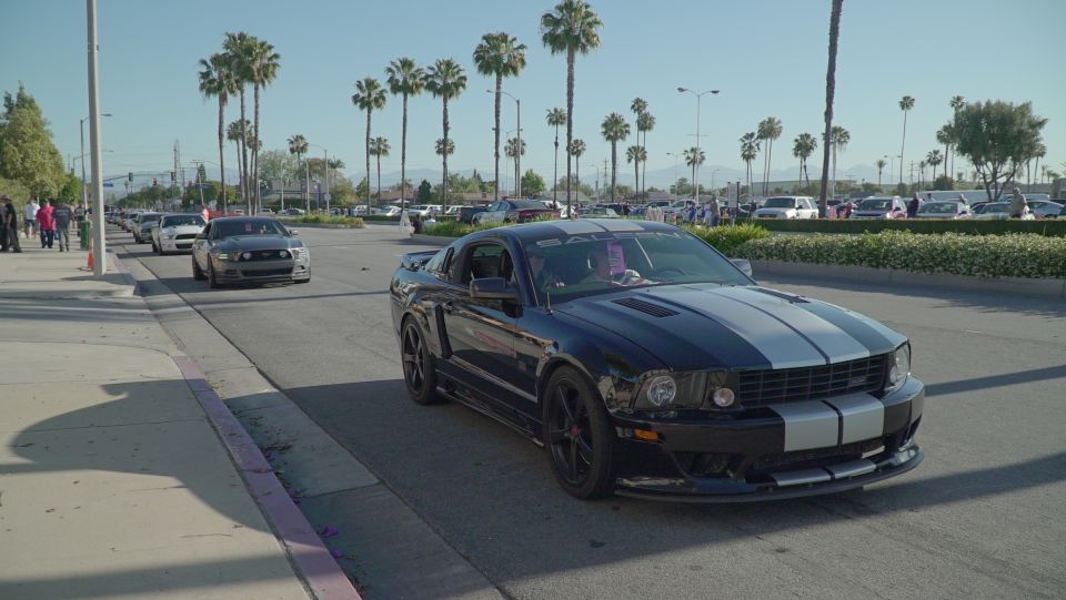 Dark blue Saleen Mustang with silver stripes driving on a street with palm trees.