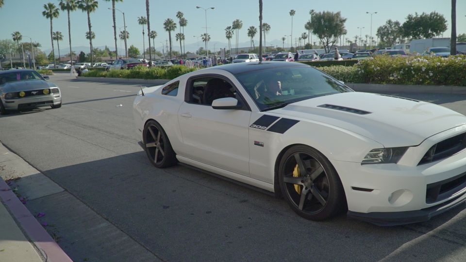 White Ford Mustang with black racing stripes parked on street, gray Mustang in background.